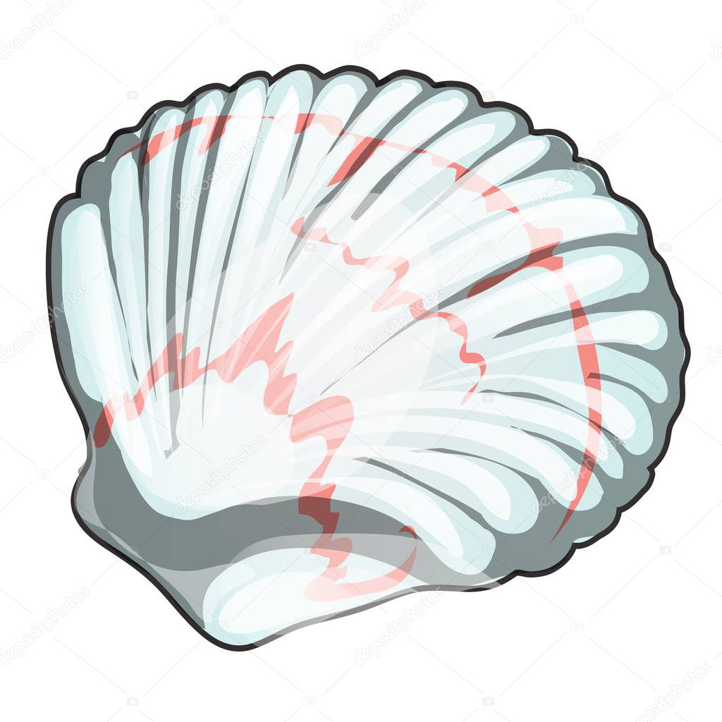 Scallop shell isolated on white background. Seafood and delicacies. Vector cartoon close-up illustration.