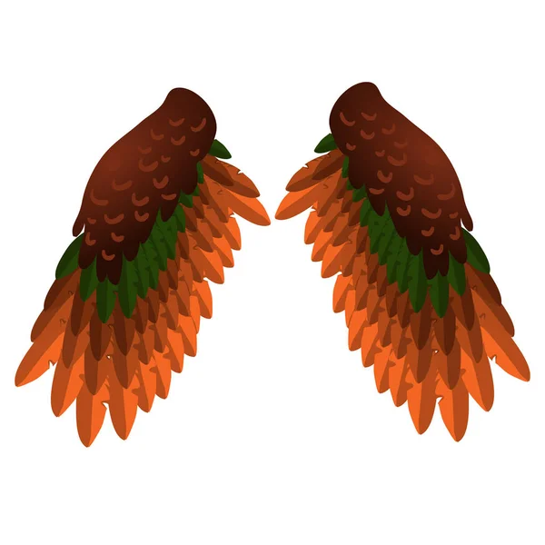 Deux ailes d'oiseaux isolées sur fond blanc. Illustration en gros plan de dessin animé vectoriel . — Image vectorielle