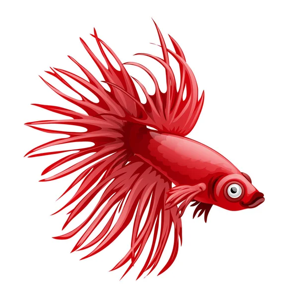 Cartoon röda betta fisk, Siamesisk kampfisk, betta splendens crown tail isolerad på vit bakgrund. Vektor tecknad närbild illustration. — Stock vektor