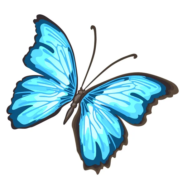 Papillon dessin animé avec des ailes bleues isolées sur fond blanc. Illustration en gros plan du vecteur de bande dessinée . — Image vectorielle