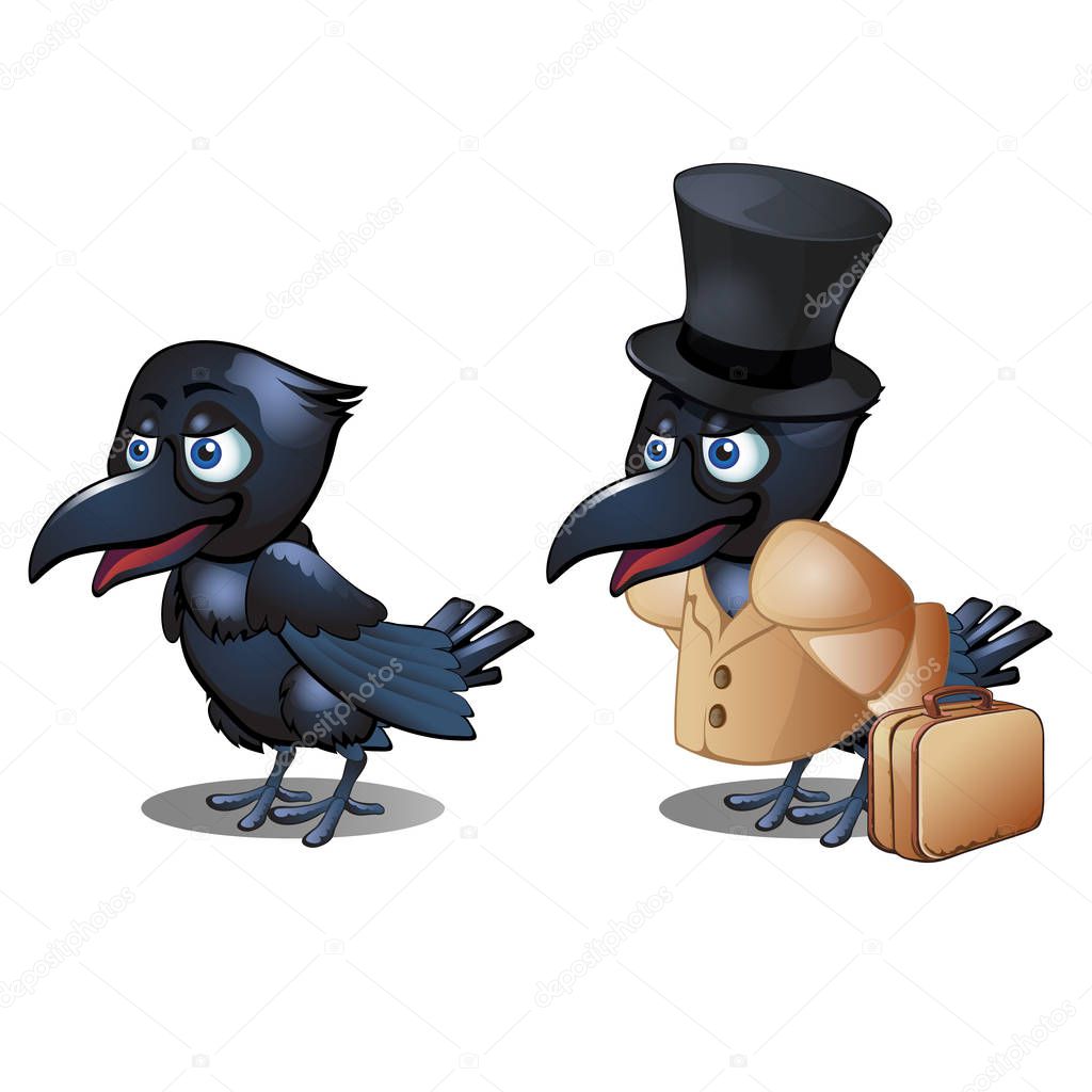 The Raven in the clothing with suitcase and hat cylinder isolated on white background. Vector cartoon close-up illustration.