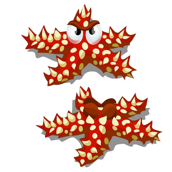 Cartoon starfish rood met stekelig doornen geïsoleerd op een witte achtergrond. Vectorillustratie cartoon close-up. — Stockvector