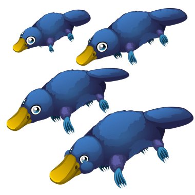 Beyaz arka plan üzerinde izole bir platypus büyüme aşaması. Vektör karikatür yakın çekim Şekil.