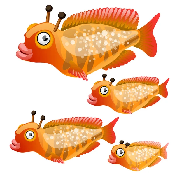 Conjunto de peixes de desenhos animados isolados em fundo branco. Desenhos animados vetoriais ilustração close-up . — Vetor de Stock