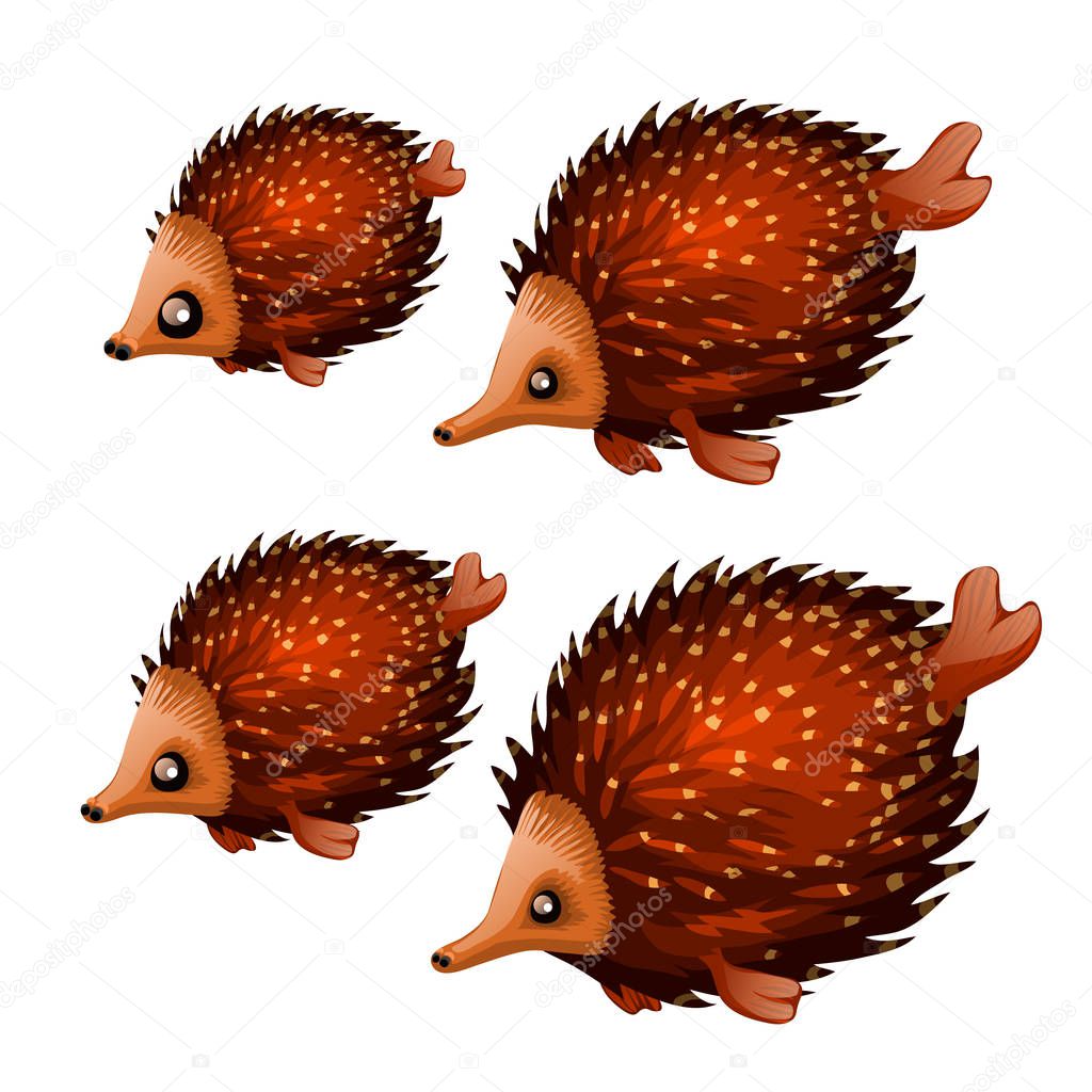 Set of cute aquatic animals brown color isolated on white background. Vector illustration.