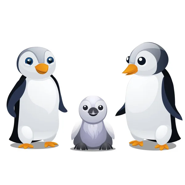 Un conjunto de divertidos pingüinos animados aislados sobre fondo blanco. ilustración de primer plano de dibujos animados vectoriales . — Archivo Imágenes Vectoriales
