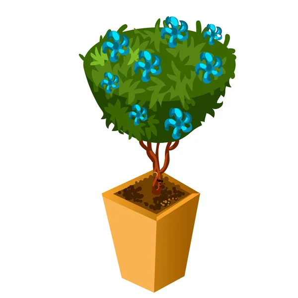 Bonsai med blå blommor isolerad på vit bakgrund. Vektor tecknad närbild illustration. — Stock vektor
