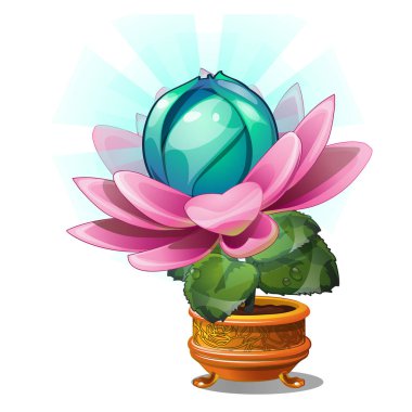 Beyaz arka plan üzerinde izole altın saksıyı çiçek açan fantezi çiçek. Vektör karikatür yakın çekim Şekil.