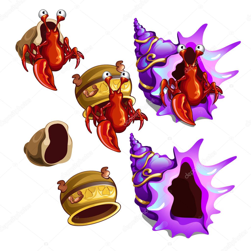 A set of habitats hermit crab isolated on white background. Old pottery and sea shells. Vector close-up cartoon illustration.