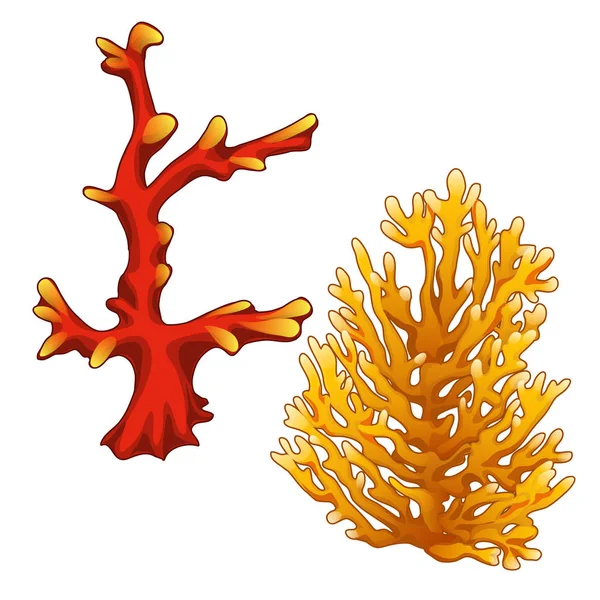 Set aus roten und orangefarbenen Korallen isoliert auf weißem Hintergrund. Vektorillustration. — Stockvektor