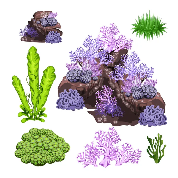 Conjunto de algas, corales y rocas submarinas aisladas sobre fondo blanco. ilustración de primer plano de dibujos animados vectoriales . — Vector de stock