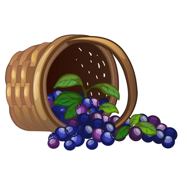 Korg med spillt blåbär isolerad på vit bakgrund. Vektor tecknad närbild illustration. — Stock vektor