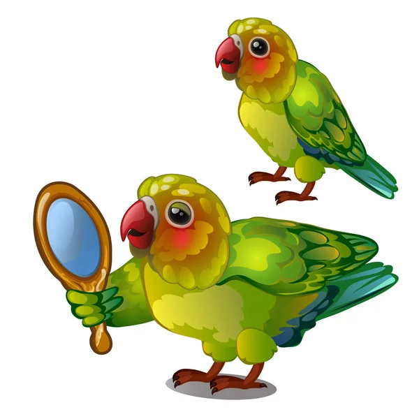 Lori tortolito admirando su propio reflejo en el espejo. El ave tropical domesticada está aislada sobre un fondo blanco. Ilustración vectorial animada . — Vector de stock