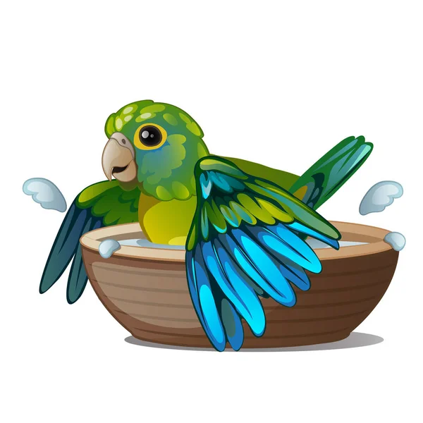 Loro verde bañándose en un tazón de agua aislado sobre un fondo blanco. Pájaro tropical domesticado. Ilustración vectorial . — Vector de stock