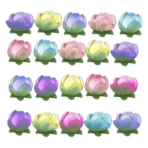 Set of colorful flower buds isolated on white background. The beauty of nature and the environment. Vector illustration. — Stock Vector