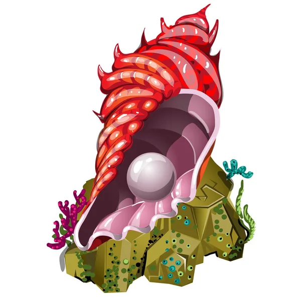 En souvenir i form av vackra seashell röd färg med naturlig pärla isolerad på vit bakgrund. Vektorillustration. — Stock vektor