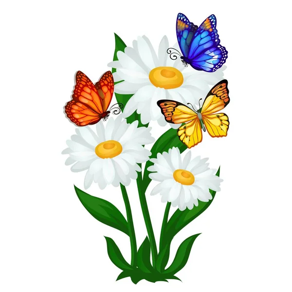 Schets van de poster op een thema van de zomer met kamille bloemen en kleurrijke vlinders geïsoleerd op een witte achtergrond. Vectorillustratie cartoon close-up. — Stockvector