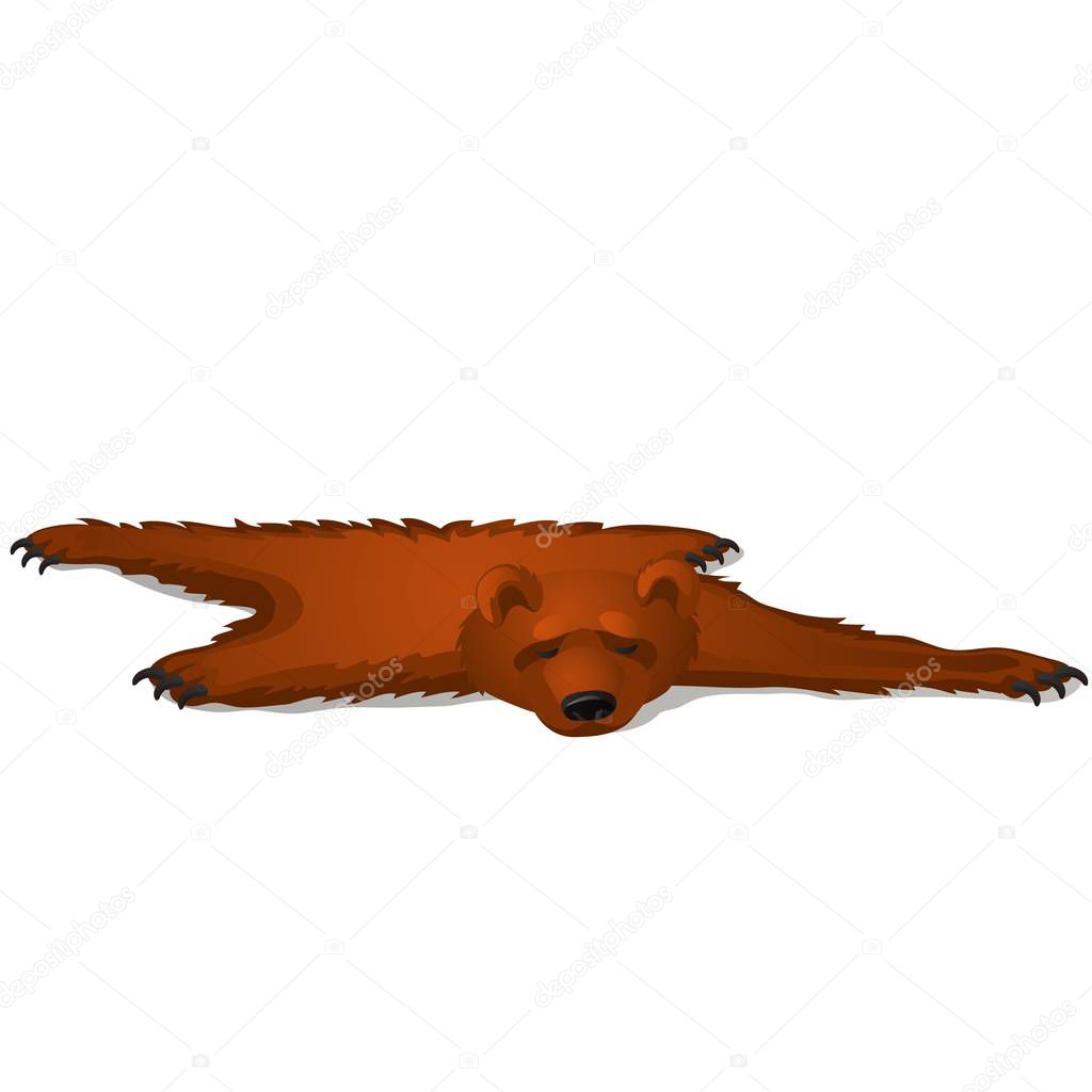 Brown bear skin isolated on white background. Vector cartoon close-up illustration.