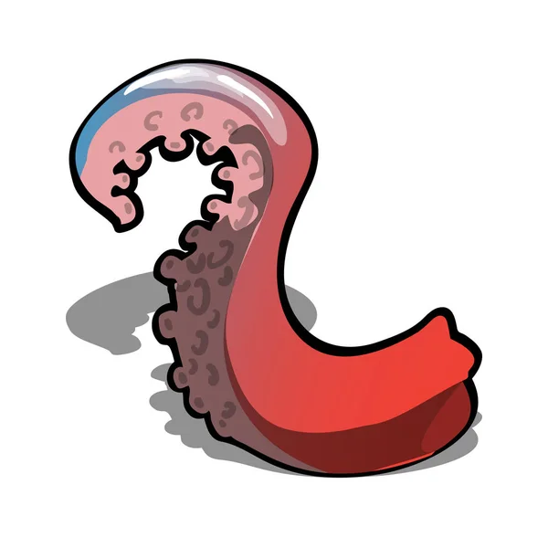 Tentáculo de polvo vermelho isolado em fundo branco. Desenhos animados vetoriais ilustração close-up . —  Vetores de Stock