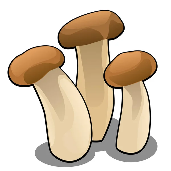 Gruppo di funghi dei cartoni animati forestali isolati su sfondo bianco primo piano. Illustrazione ravvicinata del fumetto vettoriale . — Vettoriale Stock