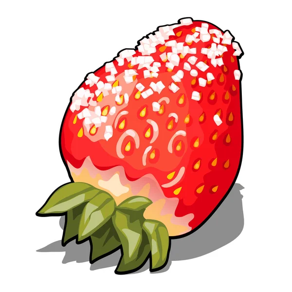 Czerwone jagody dojrzałe truskawki posypać cukrem. Element zdrowej diety. Pyszny i zdrowy Sad owoce i jagody na białym tle na białym tle. Wirydarz-do góry ilustracja kreskówka wektor. — Wektor stockowy