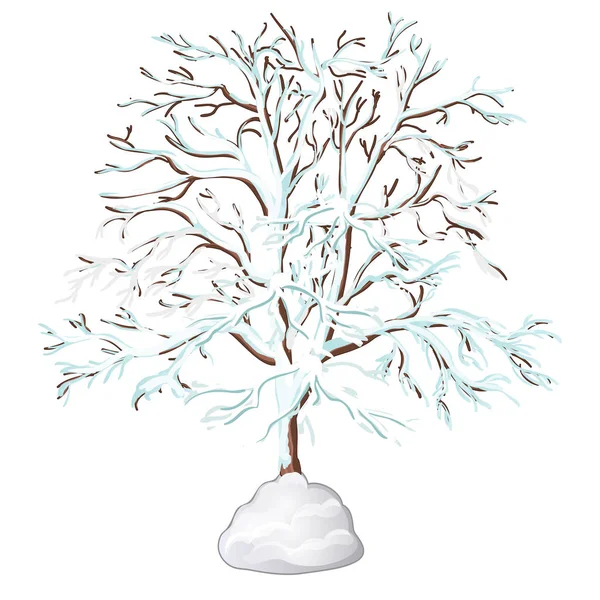 El árbol sin hojas cubierto de nieve aislado sobre fondo blanco. Ilustración vectorial . — Vector de stock