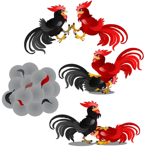 一套史诗般的场面的战斗黑色和红色的动画公鸡孤立在一个白色的背景。灰尘和飞翔的羽毛云。矢量插图. — 图库矢量图片