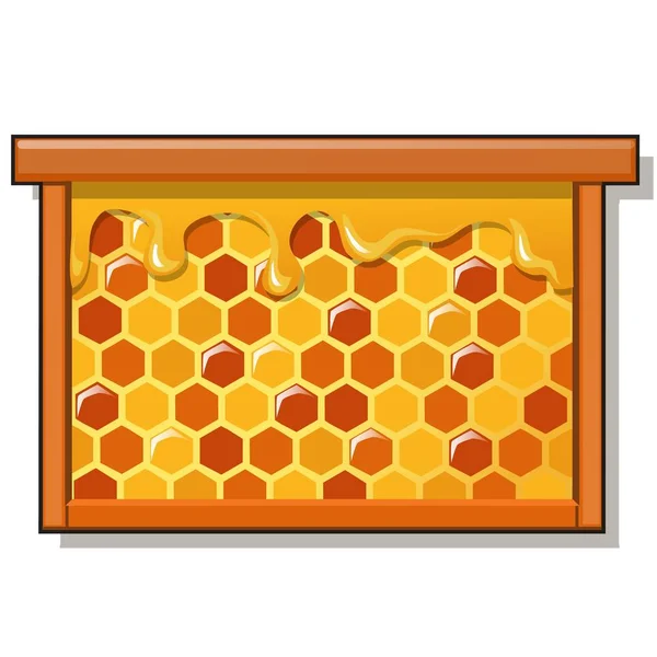 Wooden frame with sweet golden honeycomb with honey isolated on white background. Natural healthy food. Vector cartoon close-up illustration. — Stock Vector