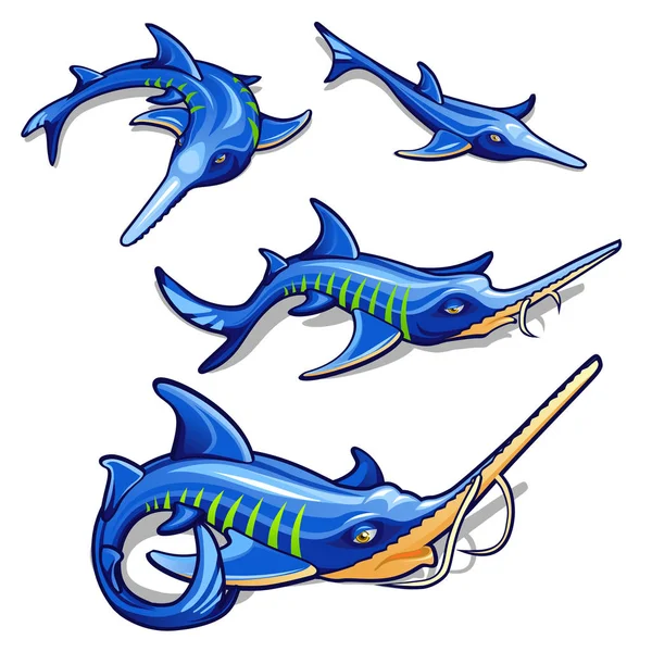 Tillväxtfas av blå stör isolerad på vit bakgrund. Kommersiella fisk. Cartoon närbild vektorillustration. — Stock vektor