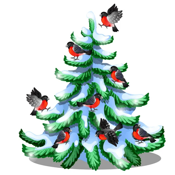 Merry bullfinches sit on a snowy spruce isolated on white background. Sample of Christmas and New year greeting card, festive poster or party invitations. Vector cartoon close-up illustration. — Stock Vector