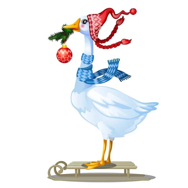 Симпатична анімована гуска в в'язаній зимовій шапці з помпоном, що тримає в дзьобі гілку ялиці зі скляним різдвяним м'ячем, ізольованим на білому тлі. Пташине катання. Векторний мультфільм крупним планом ілюстрація — стоковий вектор