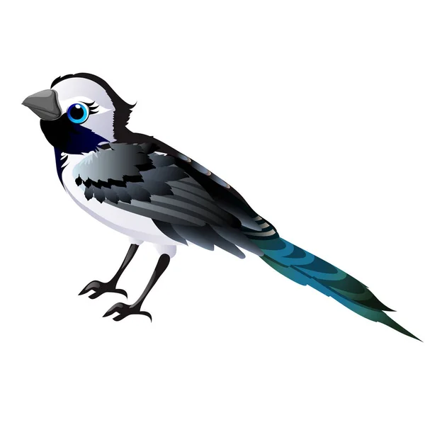 Lindo pájaro animado aislado sobre fondo blanco. ilustración de primer plano de dibujos animados vectoriales . — Vector de stock