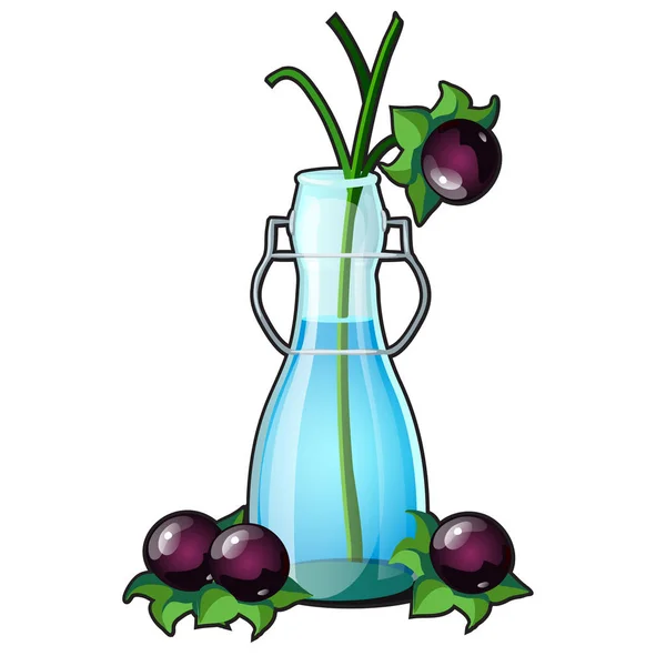 Branche avec des fruits de l'Atropa belladonna ou morelle mortelle, plante herbacée vivace dans la famille des morelle Solanaceae dans un vase en verre transparent isolé sur fond blanc. Gros plan vectoriel . — Image vectorielle