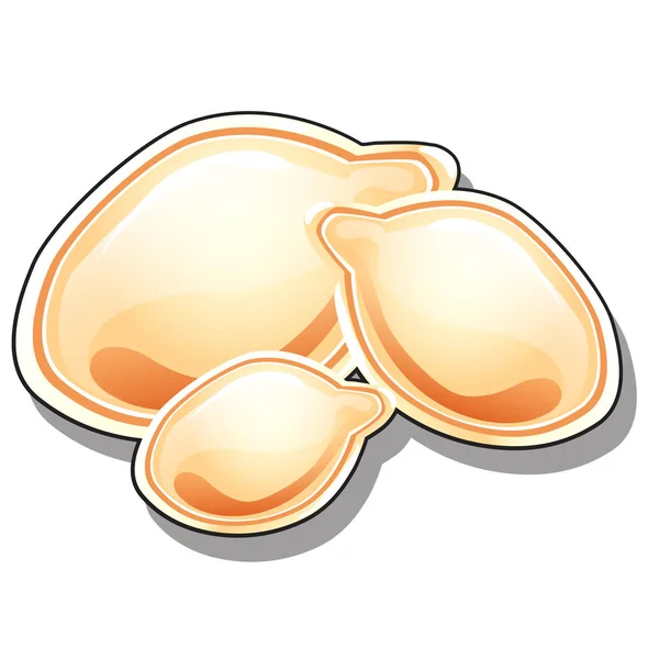 Stelletje verschillende pompoenpitten geïsoleerd op een witte achtergrond. Vectorillustratie close-up cartoon. — Stockvector