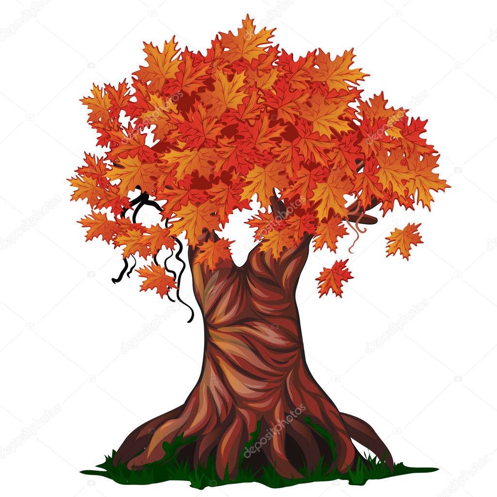 Fantasy deciduous tree in the fall isolated on white background. Golden autumn in the enchanted forest. Vector cartoon close-up illustration.