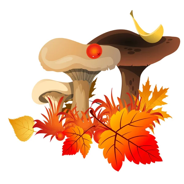 Schizzo per un poster sul tema della natura Autunno d'oro. I funghi maturi sotto le foglie ingiallite cadute di alberi in foresta di autunno isolata su uno sfondo bianco. Illustrazione ravvicinata del fumetto vettoriale . — Vettoriale Stock