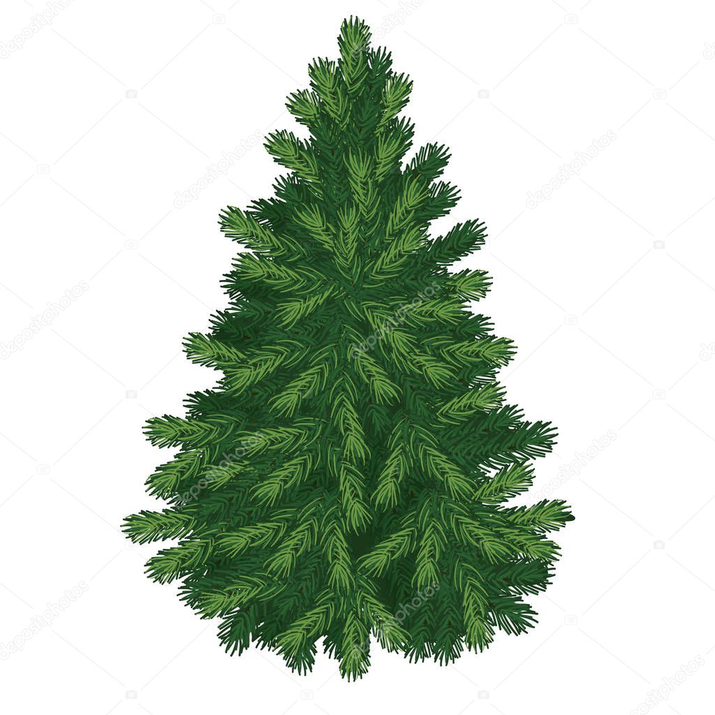 Christmas tree isolated on white background. Sketch for greeting card, festive poster or party invitations.The attributes of Christmas and New year. Vector illustration.