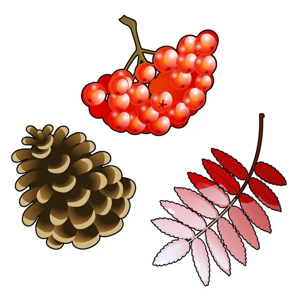 El conjunto de símbolos del otoño. Ramo de bayas rojas de Rowan, hoja y cono de pino aislados sobre un fondo blanco. Ilustración vectorial . — Archivo Imágenes Vectoriales