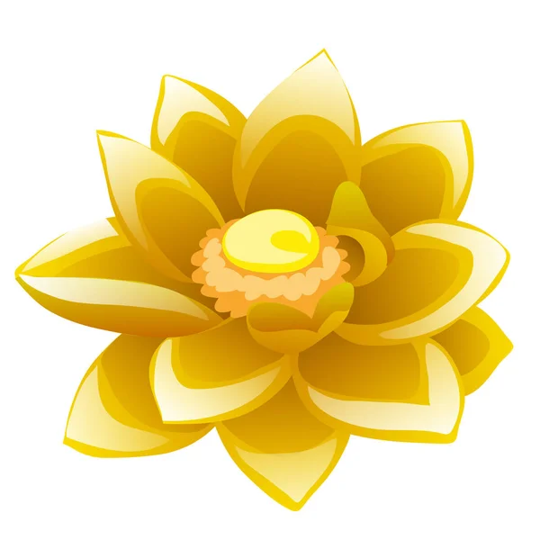 Cartoon flower yellow Lotus isolated on white background. Vector illustration.