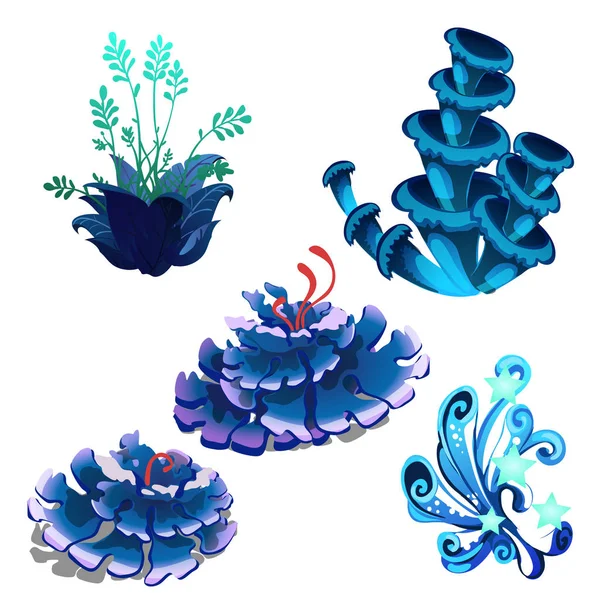 Conjunto de algas de desenhos animados marinhos coloridos e pólipos de coral isolados em fundo branco. Ilustração vetorial . — Vetor de Stock