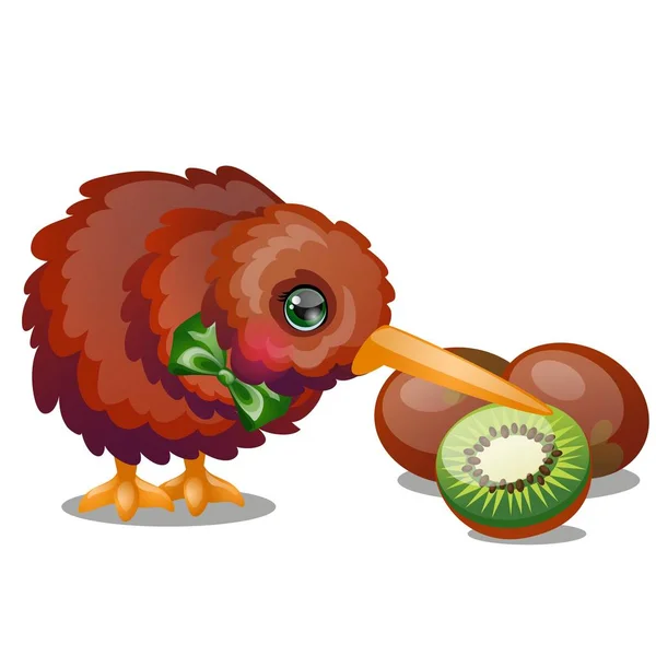 Kiwi fågeln och mogen frukt isolerad på vit bakgrund. Vektor tecknad närbild illustration. — Stock vektor