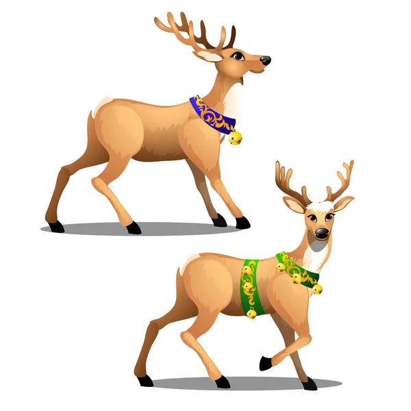 Set of animated Christmas deer with beautiful large horns, decorated collars and golden jingle bells isolated on white background. Vector cartoon close-up illustration. — Stock Vector