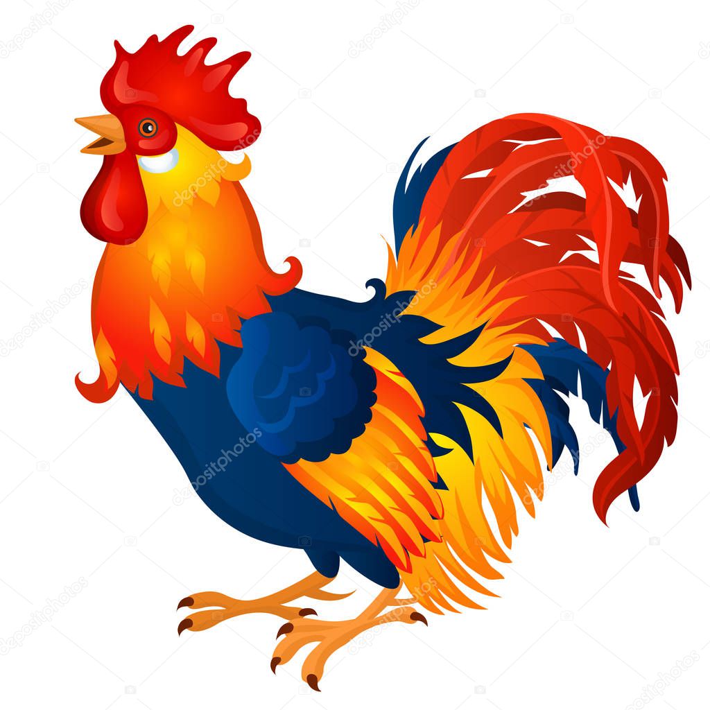 Animated brightly colored cock isolated on a white background. Beautiful rooster. Vector cartoon close-up illustration.
