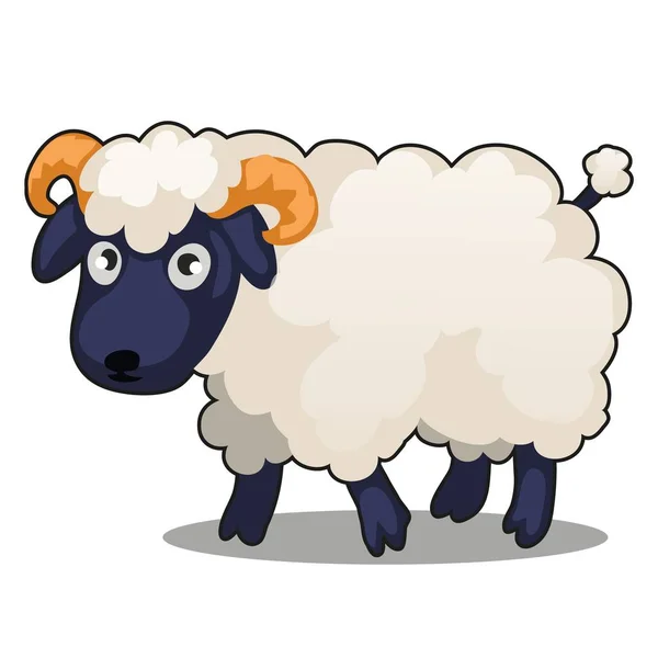 Kleine niedliche Nutztier-Schafe steht isoliert auf weißem Hintergrund. Vektor-Karikatur in Nahaufnahme. — Stockvektor