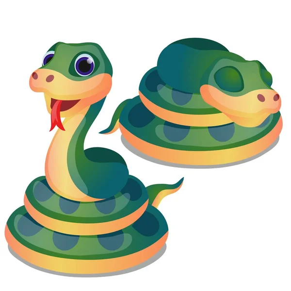 Cute zwinięty wąż zielony na białym tle. Wirydarz-do góry ilustracja kreskówka wektor. — Wektor stockowy