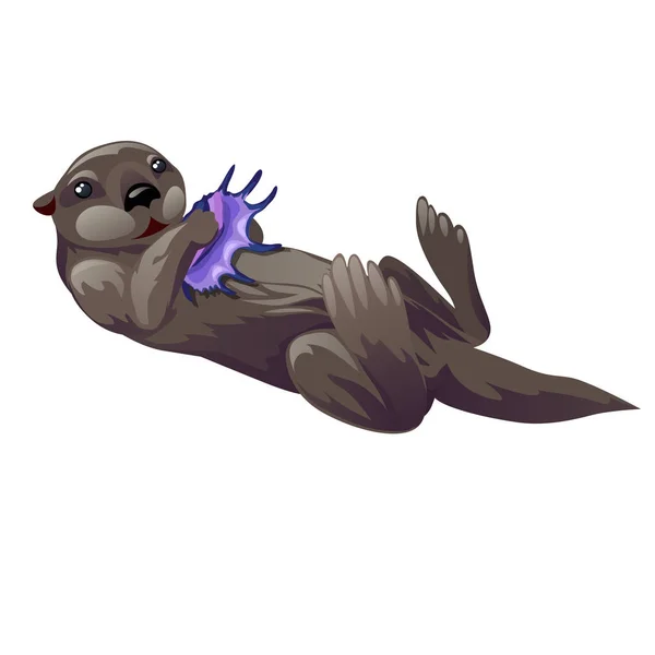 Grey otter playing with purple exotic sea shell isolated on white background. Vector cartoon close-up illustration. — Stock Vector