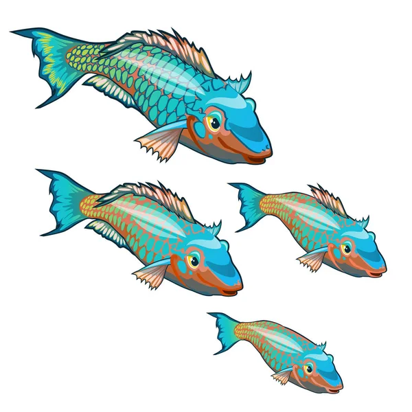 花式鱼群的生长阶段, 在白色背景上被隔离, 有五颜六色的鳞片。动画片向量特写例证. — 图库矢量图片