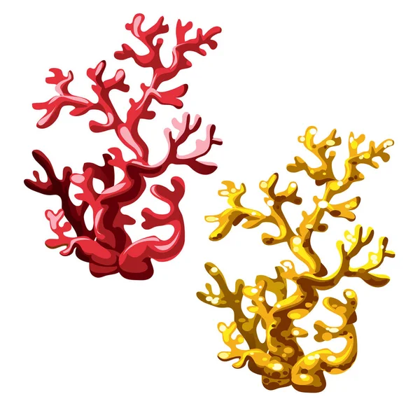 Conjunto de corales rojos y dorados aislados sobre fondo blanco. ilustración de primer plano de dibujos animados vectoriales . — Vector de stock