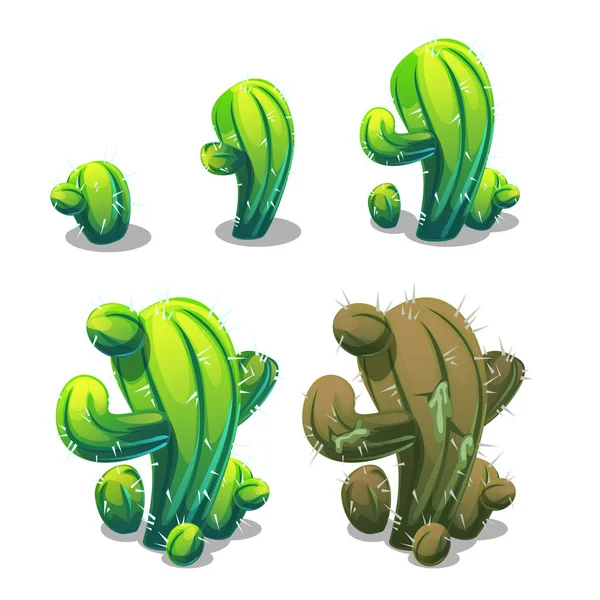 Levensfasen van Mexicaanse cactussen geïsoleerd op een witte achtergrond. Vectorillustratie cartoon close-up. — Stockvector