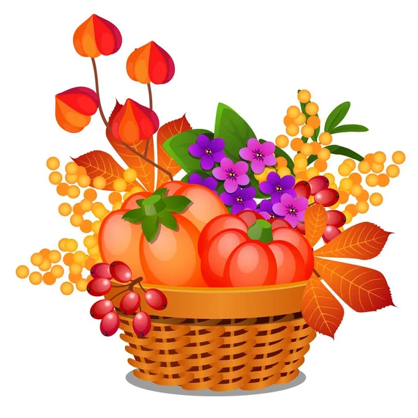 以柳条篮的形式组成, 里面装满了成熟蔬菜、蔬菜或冬樱桃果实和秋叶, 在白色的背景上被隔离。向量动画片特写例证. — 图库矢量图片